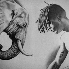 Elephant In The Room [Remastered]