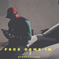 PACK CAME IN
