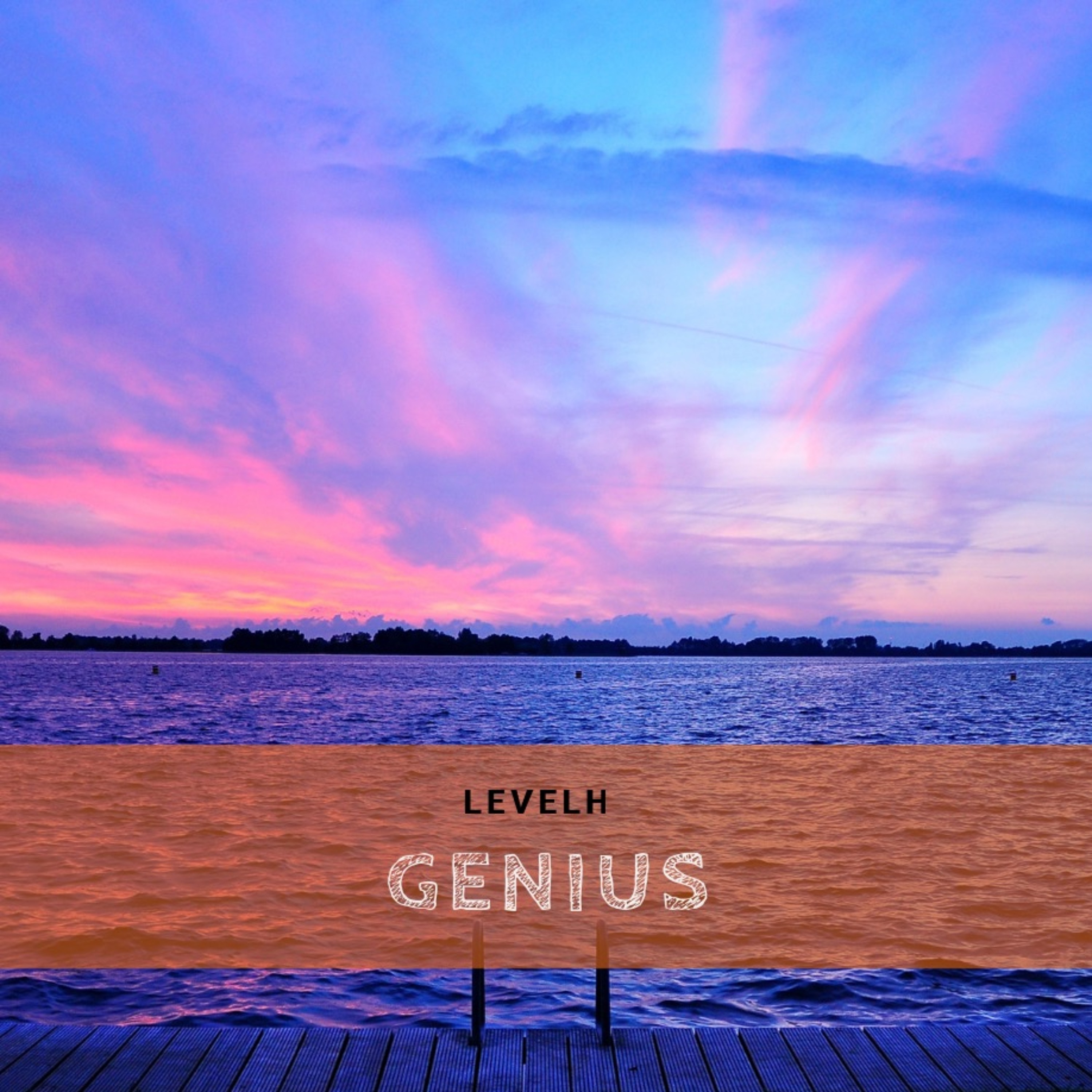 Levelh Genius episode artwork