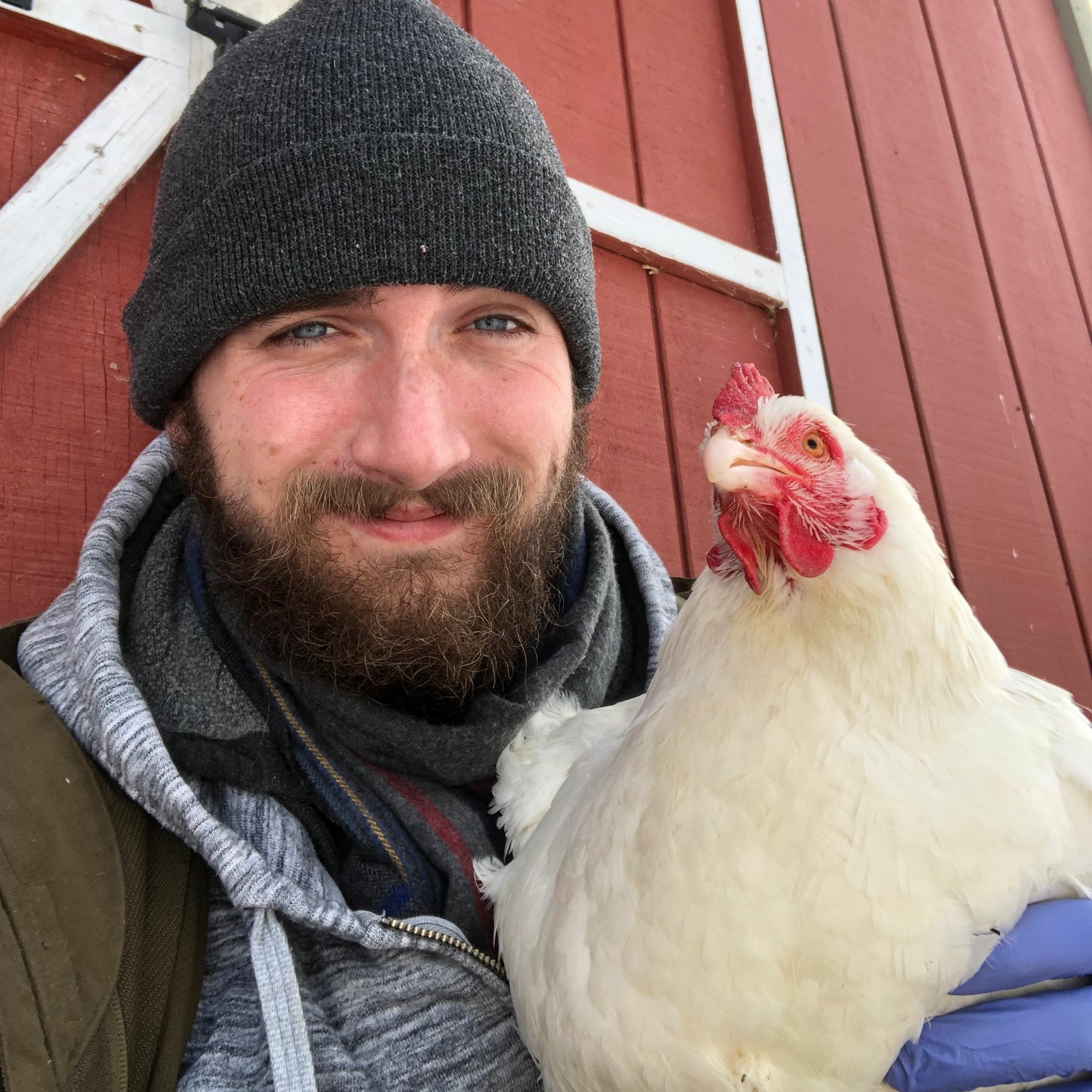 Spring Chickens (with Scott C.) episode artwork