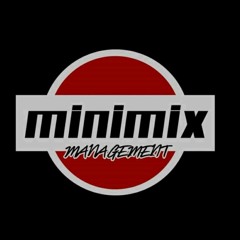 Dimitri Vegas & Like Mike Feat. Wiz Khalifa - When I Grow Up 2019 (Minimix Project)