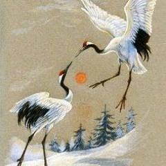 Con Cò - Glee Ams .ft 2N x Trippy S