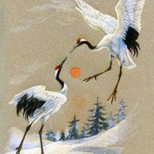 Con Cò - Glee Ams .ft 2N x Trippy S