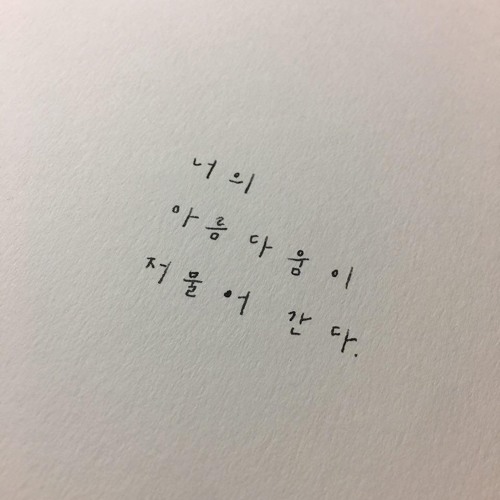 너의 아름다움이 저물어 간다