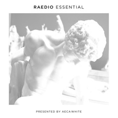 009 Plaster Machanism ⎮ 12 April 2019