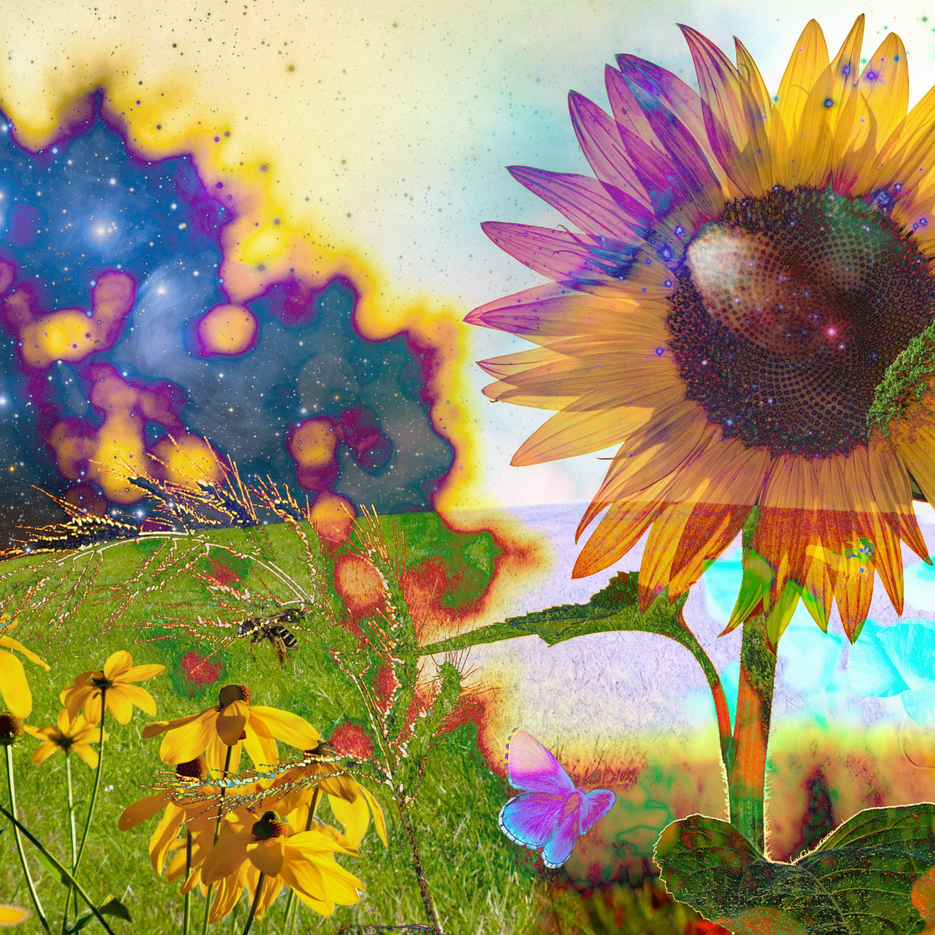 Healing The Soil Music Version 2 episode artwork