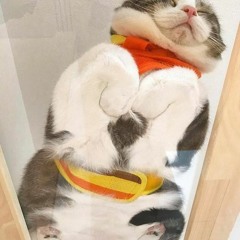 Нью