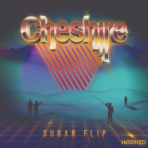 Sugar Flip Ft. Def3