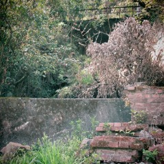 Hometown in Ruins
