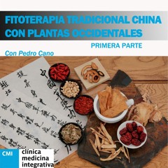 LA FITOTERAPIA TRADICIONAL CHINA CON PLANTAS OCCIDENTALES. PRIMERA PARTE. CON PEDRO CANO