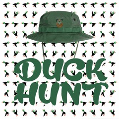 Duck Hunt