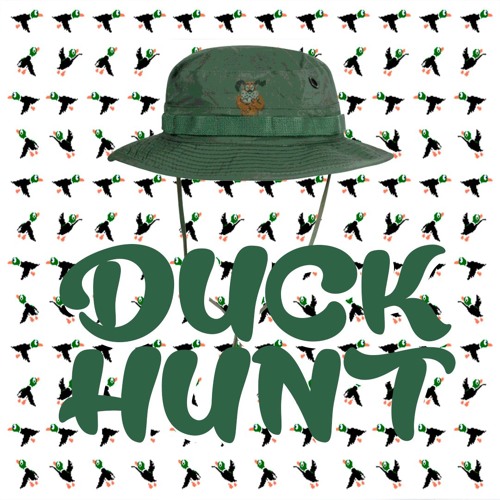 Duck Hunt