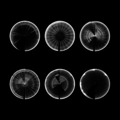 Angelo Lomelo - Homeostasis