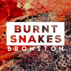 Burnt Snakes