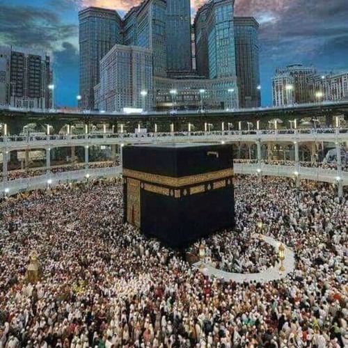 ابداع القارئ عمير شميم في سوره الرحمن