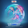 Schiffbruch Bottlecast 025 - by Jama DJ mix artwork - Electronic music tracklist cover image