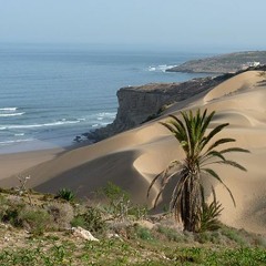 La Berceuse Amazigh (trad. Berbère)