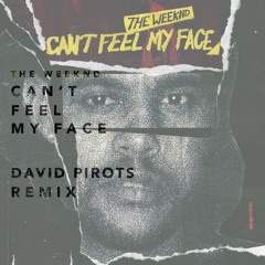 Can't Feel My Face (David Pirots Flip)
