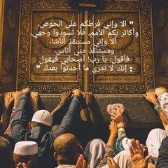 انشودة كل القلوب الى الحبيب تميل - اسلام صبحي - أحمد الشافعي
