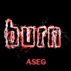 ASEG - BURN