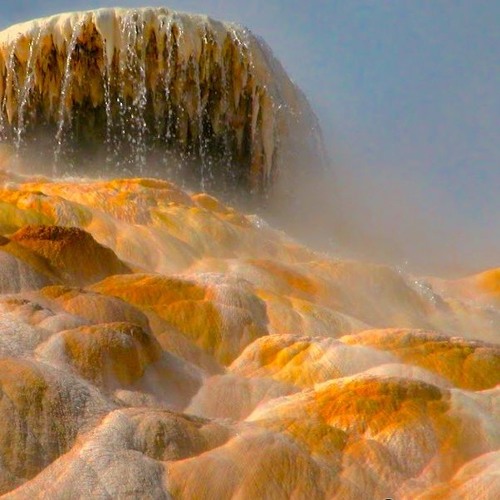 Dawn Chorus (feat. Adrian Avendaño)