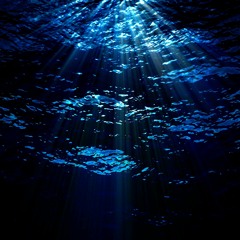 Agamaz - Water & Break