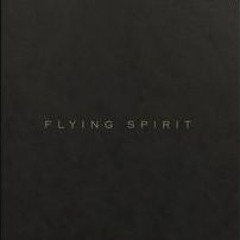 Flying Spirit / Spirit Travel