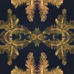 DAN.K - Vinyl Sessions #01