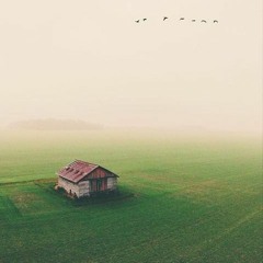 ليه يا ناس - الشيخ محمود هاشم