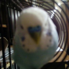 Lil peep, i crash you crash