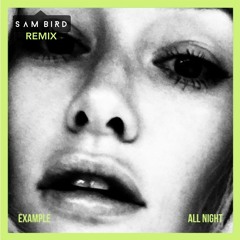 Example - All Night (Official Sam Bird Remix)