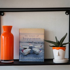 Üç Adımda Nefes Alanı