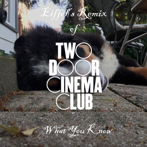 Two Door Cinema Club - What You Know (Eiffel Remix)