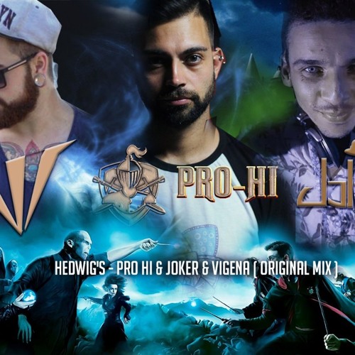 Hedwig's - Joker & Pro Hi & Vigena ( Original Mix )