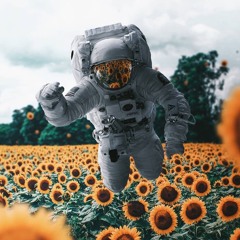 Dubmentalist - Recycled (F13 Rmx) (nomaster/wip/forthcoming Ironshirt recordings)