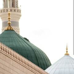 وَنَادَىٰ أَصْحَابُ الْجَنَّةِ أَصْحَابَ النَّارِ | محمد نافع