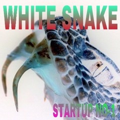 White Snake -Phonk  DEMO TRACK NO - 1