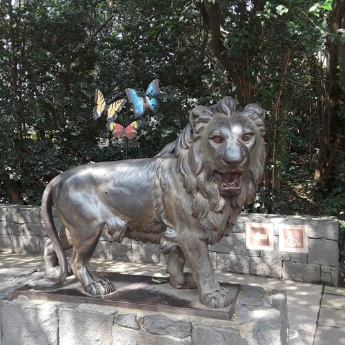 nice ati tunes ⸜(രᴗര๑)⸝