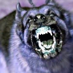 Violent ft lil spazz 💯