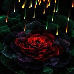 $nB X E.T Rosé - Flowers