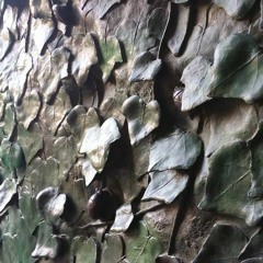 Songs of Eduard Toldrà