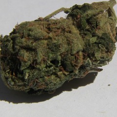 Mary Jane Original Demo