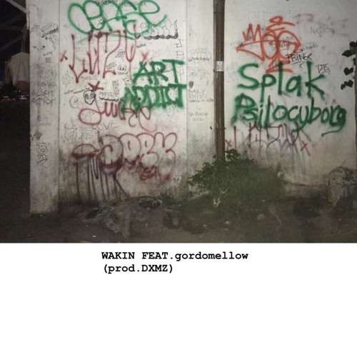 P22 feat. WAKIN x gordomellow (prod by DXMZ)