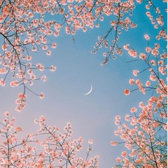 Breeze