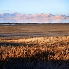 Nothing More - String Quintet with Piano