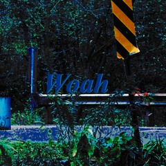 Woah (Ft. Lil Curly)(LR Productions)