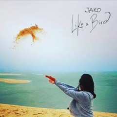 Dj Jako - Like A Bird (FREE DOWNLOAD)