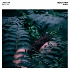 Jay Aliyev - Everyday