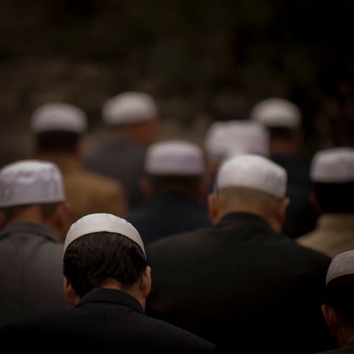 يا فرحَتي بلقاكَ بعد زمانِ | توفيق المنجد