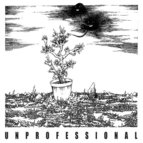 UNPROFESSIONAL - The Final Info Line [FP104]